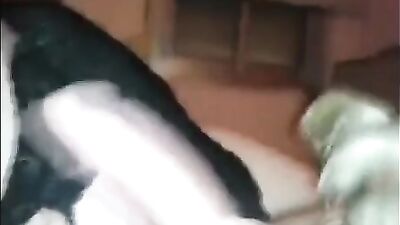 compilation bouffage de bite de chien