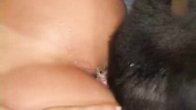 Dirty MILF Mara 6 Bends Over For Oklahoma Dogs Hard Cock