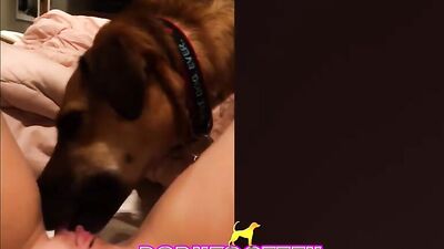 Pussy preparation to take the dogs cock