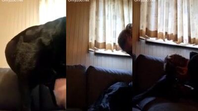 Dog dick addicted old women