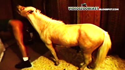 teenager fucking huge hobby horse invading pussy