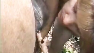 Women With Mares Lesbian Horse
