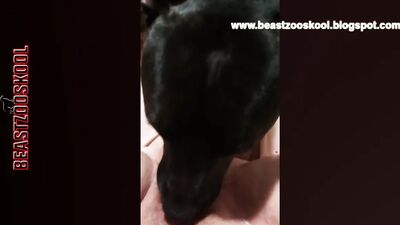 Dog fuck girk knot