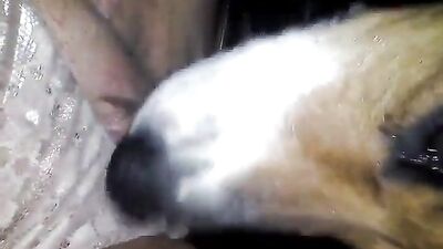 Woman quick squirt puppy lick