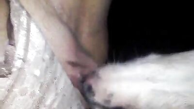 Woman quick squirt puppy lick