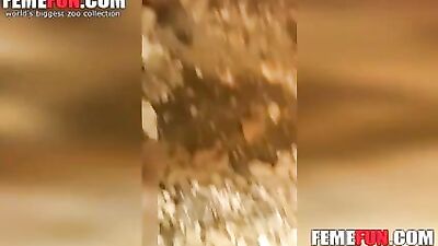 Sultry Milf Slobbers On Cute Pups Dick