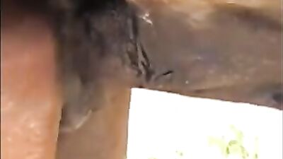 caballo