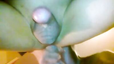 gay anal dog