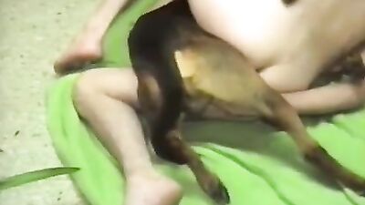 Doggy and zoofil lover