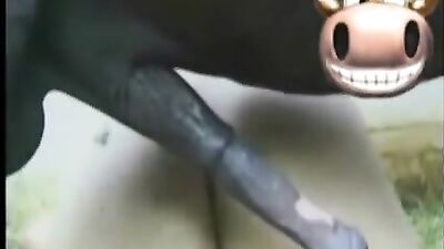 Horny Mares Cum Drenched Coo