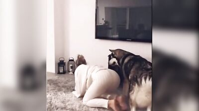 not sex