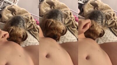 Beach Babe Blows Pup While Soaking Up Sun