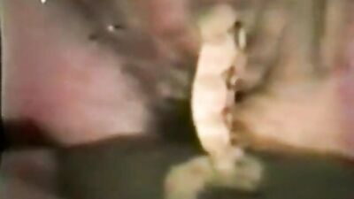 Snake in pussy - short and bad quality :