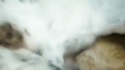 mating dog