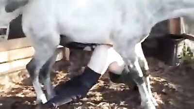 Curvy slut likes nasty horse bestiality