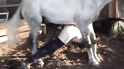 Curvy slut likes nasty horse bestiality