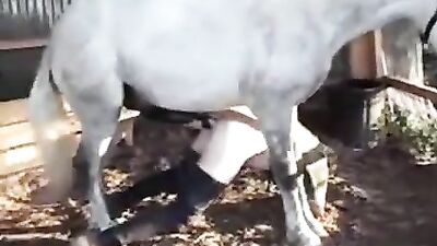 Curvy slut likes nasty horse bestiality