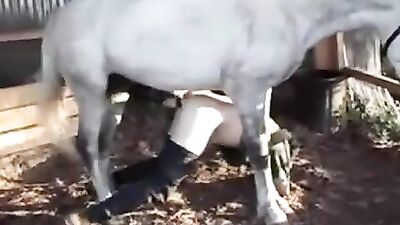 Curvy slut likes nasty horse bestiality