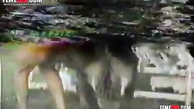 guy getting roughly fucked by burro