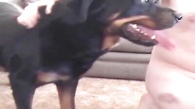 Doggy dick is being fellated by masculine