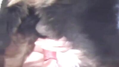Doggy dick is being fellated by masculine