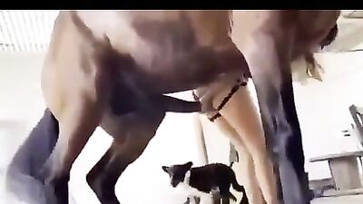 Thirsty Mares Desperate Blowjob From Cute Cowgirl