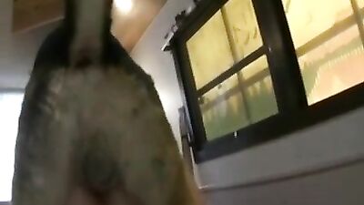 Bestiality with a kinky gay zoophile - amateur animal porno
