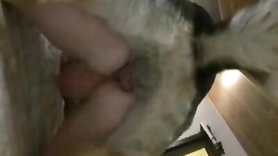 Bestiality with a kinky gay zoophile - amateur animal porno
