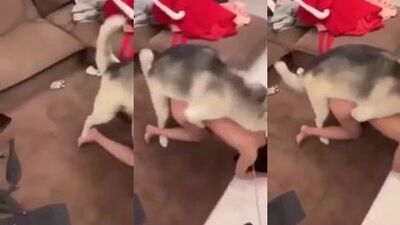 dog fuck chinese woman
