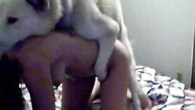 white dog fucks woman