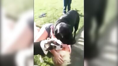 mom got dog knotted at neighbordhood bbq