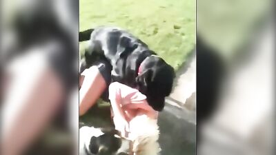 mom got dog knotted at neighbordhood bbq
