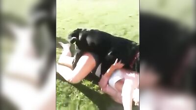 mom got dog knotted at neighbordhood bbq