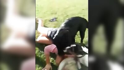 mom got dog knotted at neighbordhood bbq