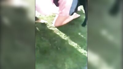 mom got dog knotted at neighbordhood bbq
