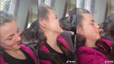 Forbidden Lust: Chinese Girl Stairs Creep Bites & Knot Boy Fucks Dog
