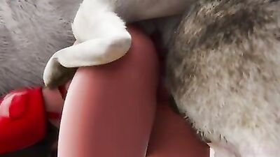 3D Red Knots