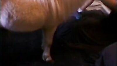 Horny Teen Girl Seduces Horse, Ends Up Getting Face Fucked