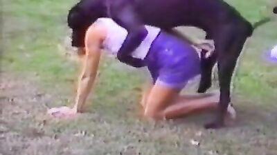 Great Dane outside