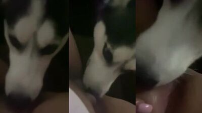Dog lick 5 comment for more :