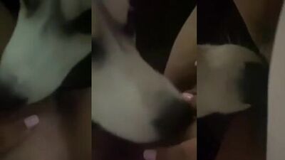 Dog lick 2 comment for more :