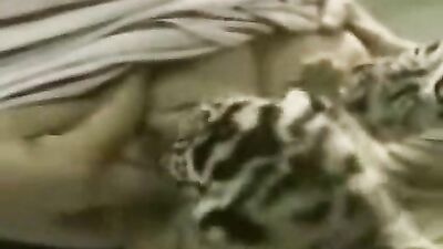Cat getting its cream