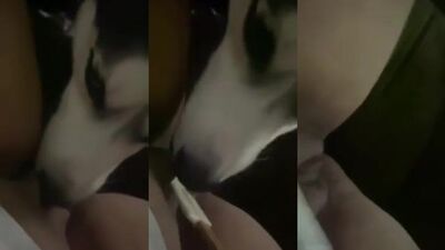 Cute Baby Girl Gets Drenched in Dogs Sticky Lick
