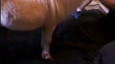Horsecore part 2