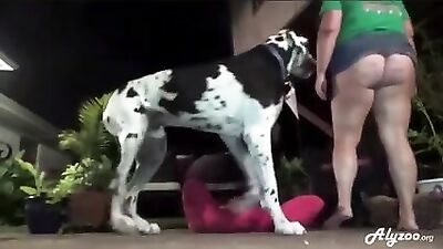 Wife outdoor try with dog