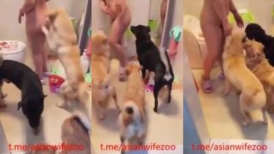 Chinese wife get group sex with dog