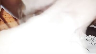 Gif movie bestiality