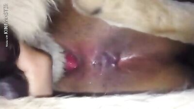 Latin Cuties Faggot Fantasy with Hung Dog