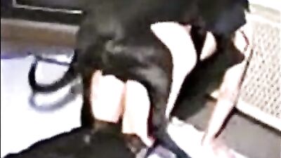 Puppys Pretty Mouth Gets Hard Rugged Filling