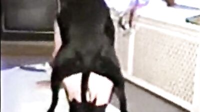 Puppys Pretty Mouth Gets Hard Rugged Filling